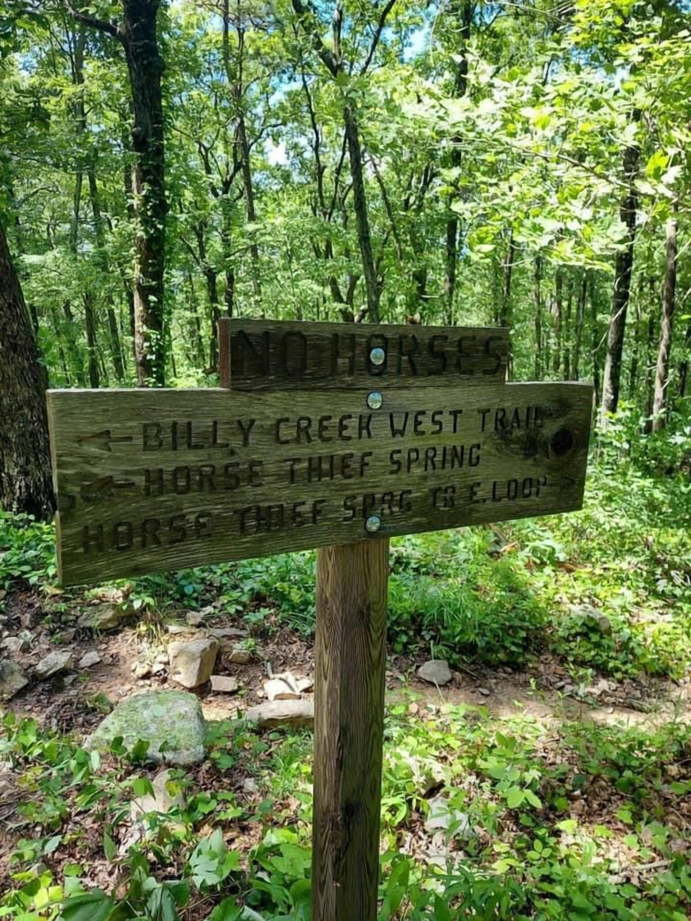 A wooden trail sign in a forested area with directions to 'Billy Creek West Trail' and 'Horse Thief Spring'.