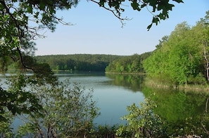 Um lago calmo rodeado por uma floresta densa.