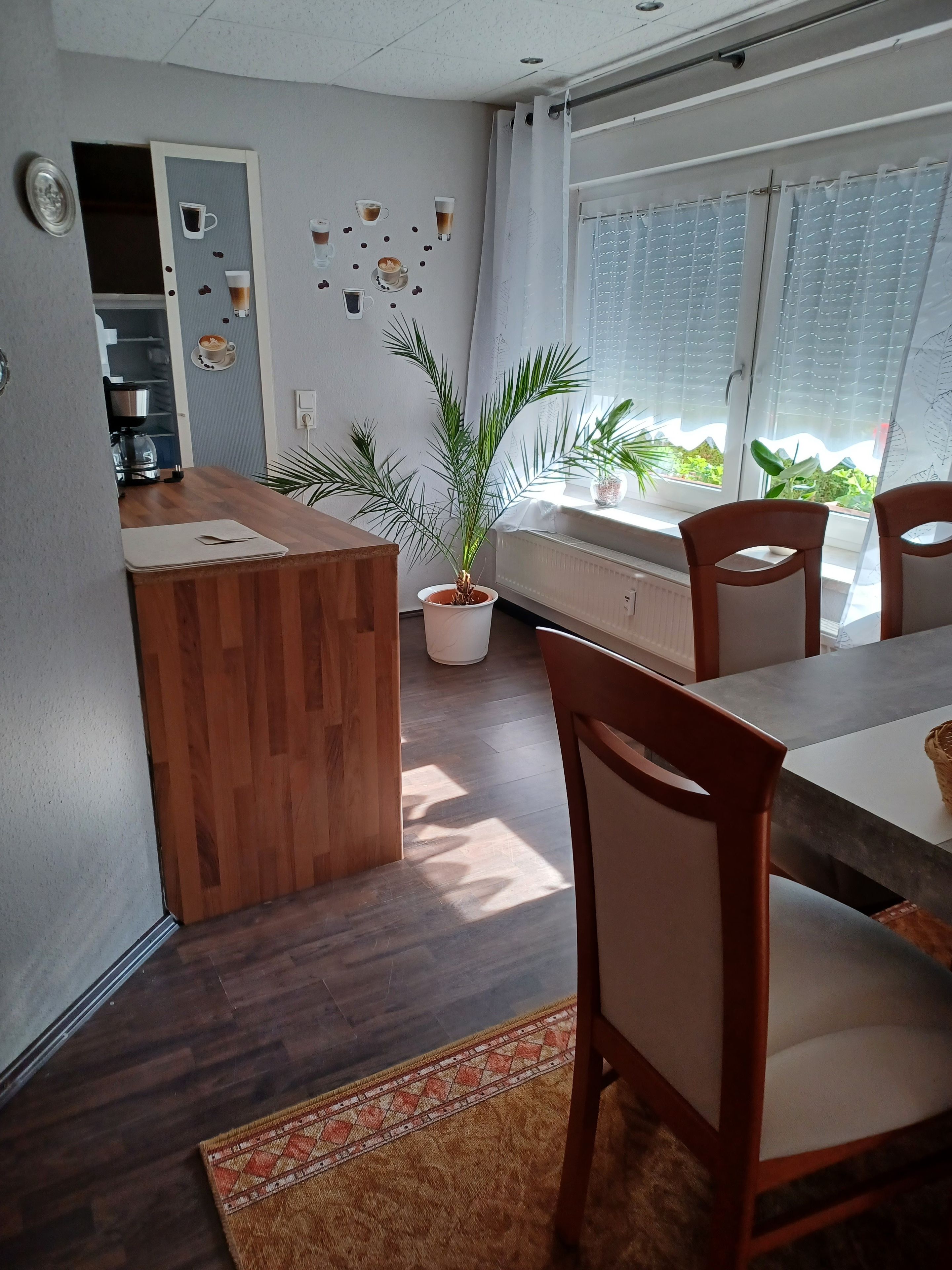 A dining area with a wooden table, chairs, a potted plant, and a kitchen visible in the background.