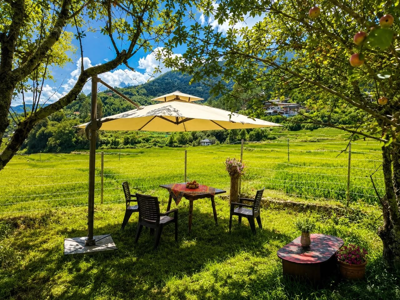 Un espace extérieur aménagé avec une table et des chaises sous une tonnelle, entouré d’une végétation luxuriante et offrant une vue sur un village situé au loin.