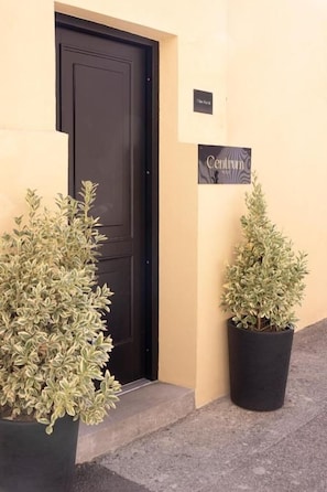 A building entrance with a black door, two potted plants, and a sign above the door.