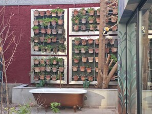 Teres/patio