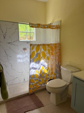 Une salle de bain avec un rideau de douche, des toilettes et une fenêtre.