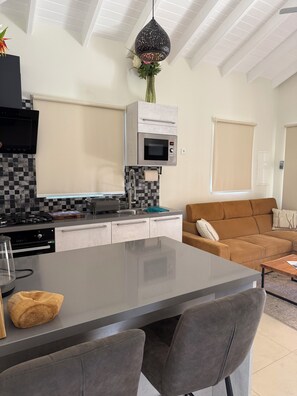 Een moderne keuken met een centraal eiland, inbouwapparatuur en een hangende plant.