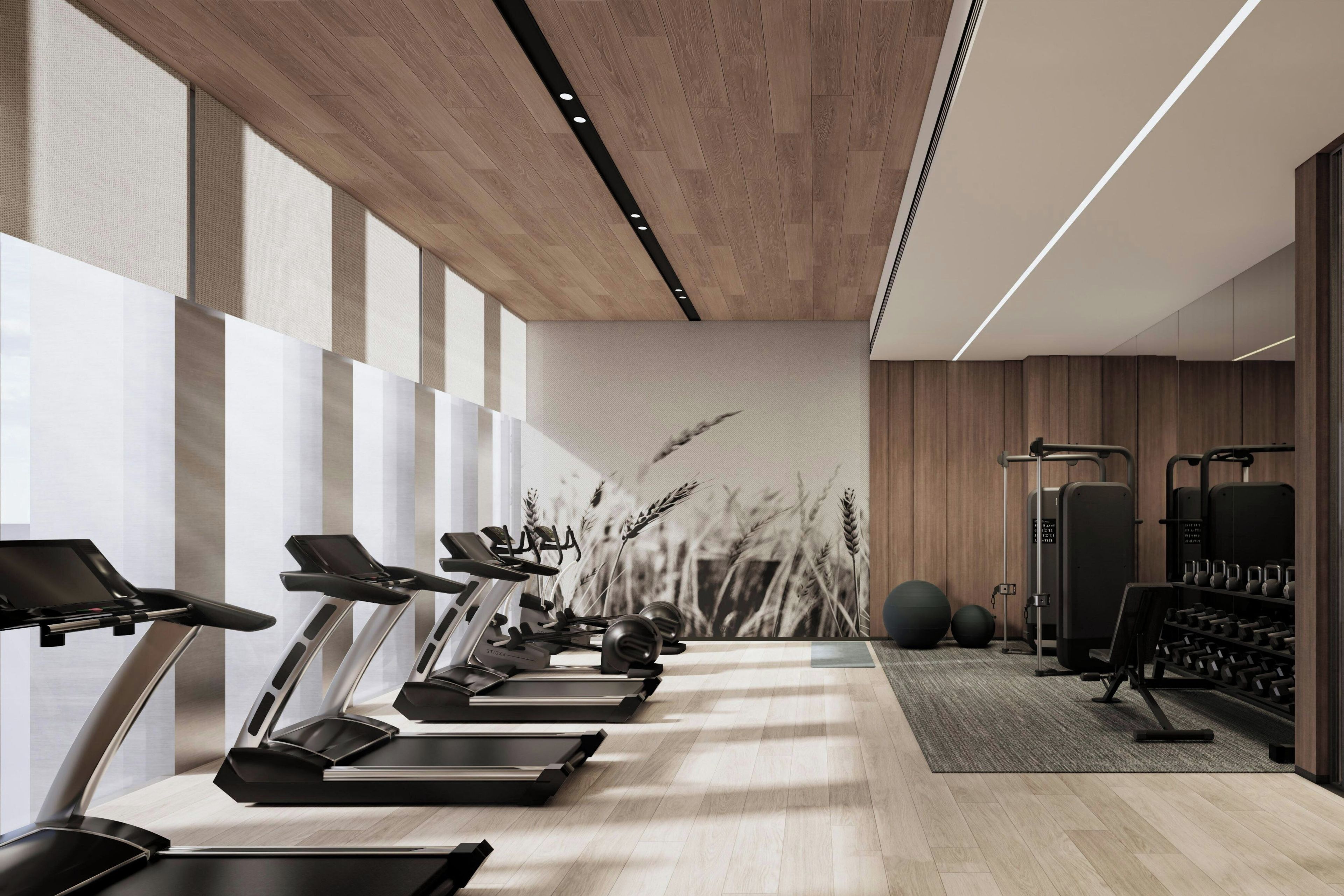 Un gimnasio moderno con cintas de correr, balones de ejercicio y equipo de pesas.