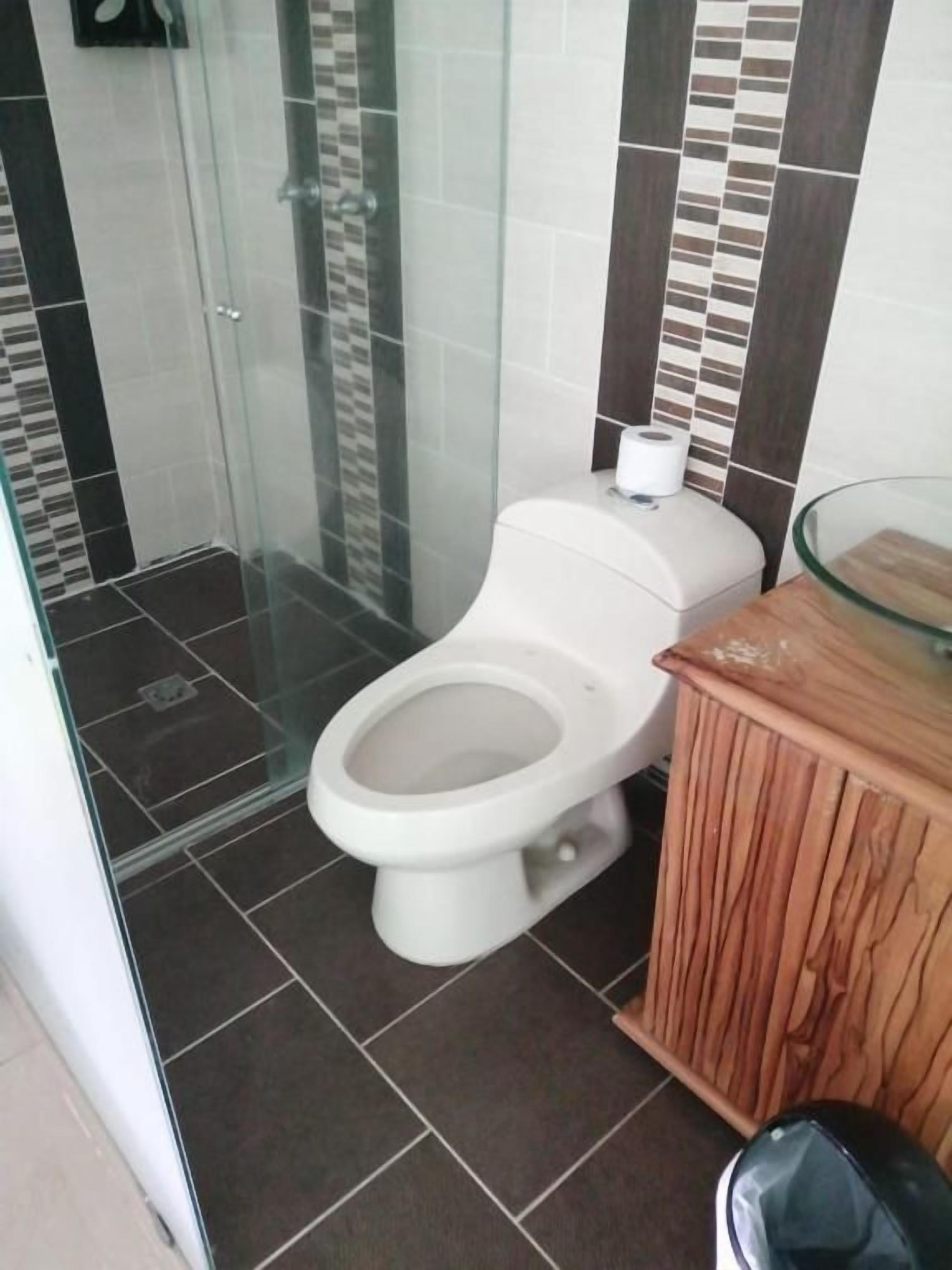 Un baño con ducha de mampara de vidrio, inodoro blanco y mueble de madera.