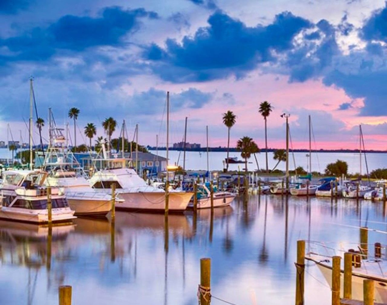 A marina with boats docked, a bridge in the background, and palm trees.