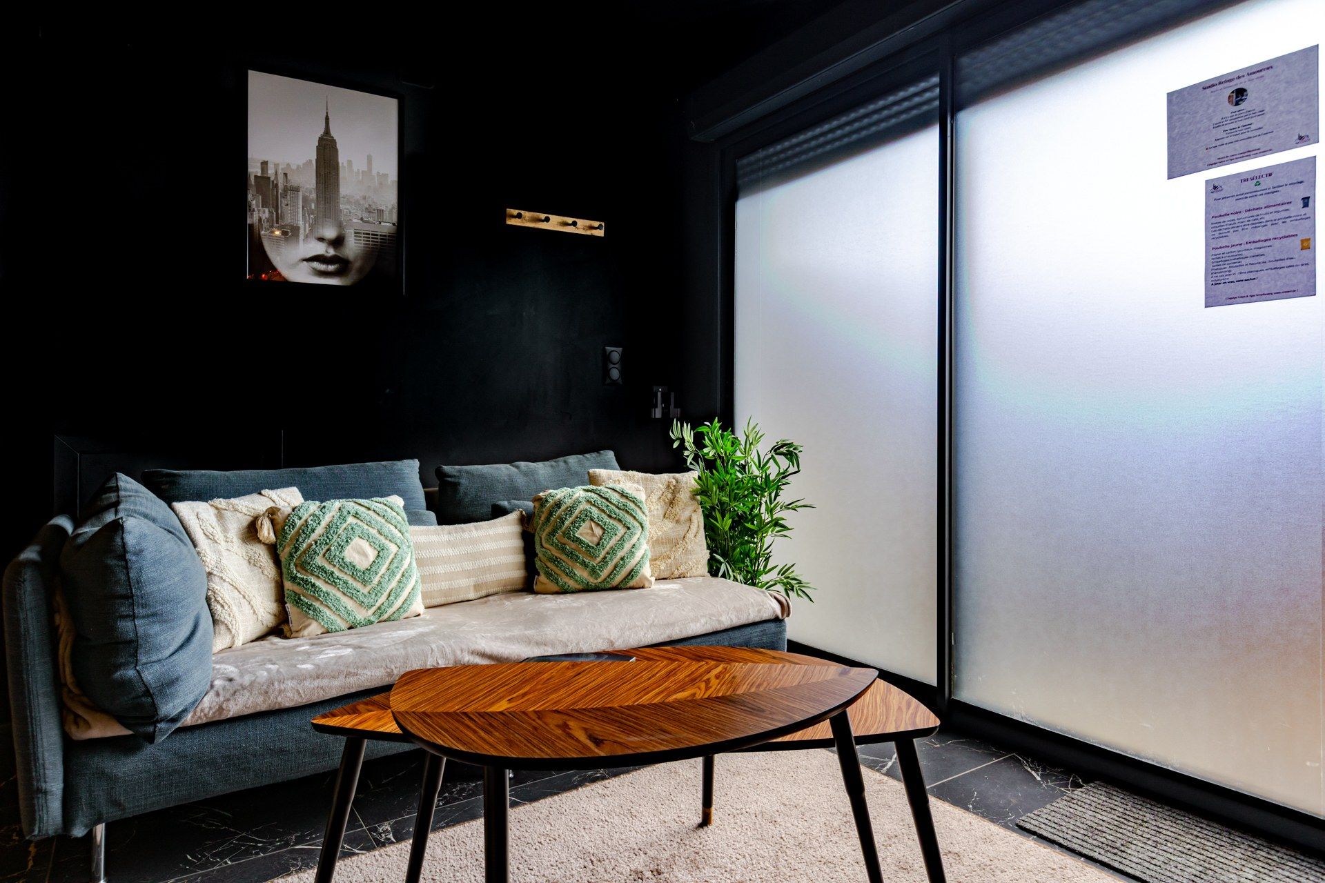 A modern interior with a sofa, pillows, a coffee table, and a plant.