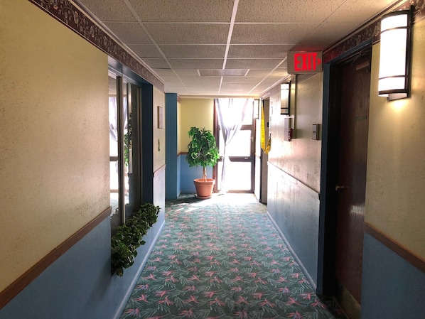 Un couloir d’hôtel avec un tapis à motifs, une plante en pot et un panneau indiquant la sortie.