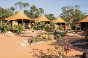 A series of tents with a paved walkway and landscaped garden.