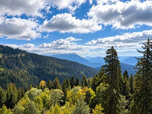 A mountainous landscape with dense forests and a clear sky. - Apartment panoramic view - 6 guests (Chamrousse)