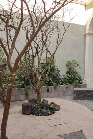 A courtyard with a tree, a rock garden, and a low wall. - Gran Suite Loft Guadalajara Centro SF (Guadalajara)