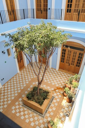A courtyard with a tree, potted plants, and a checkered floor. - Bonito mini loft en el corazón de Guadalajara LC (Guadalajara)