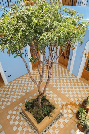 A tree in a planter with a checkered floor and blue walls. - Bonito mini loft en el corazón de Guadalajara LC (Guadalajara)
