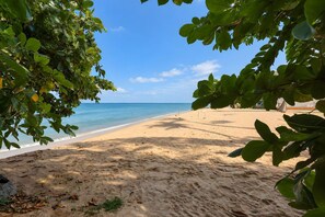 Ein Strand mit klarem, blauem Wasser, sandigem Ufer und dichtem Grün.