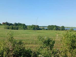 Een landelijk landschap met een veld, bomen en een waterpartij in de verte.