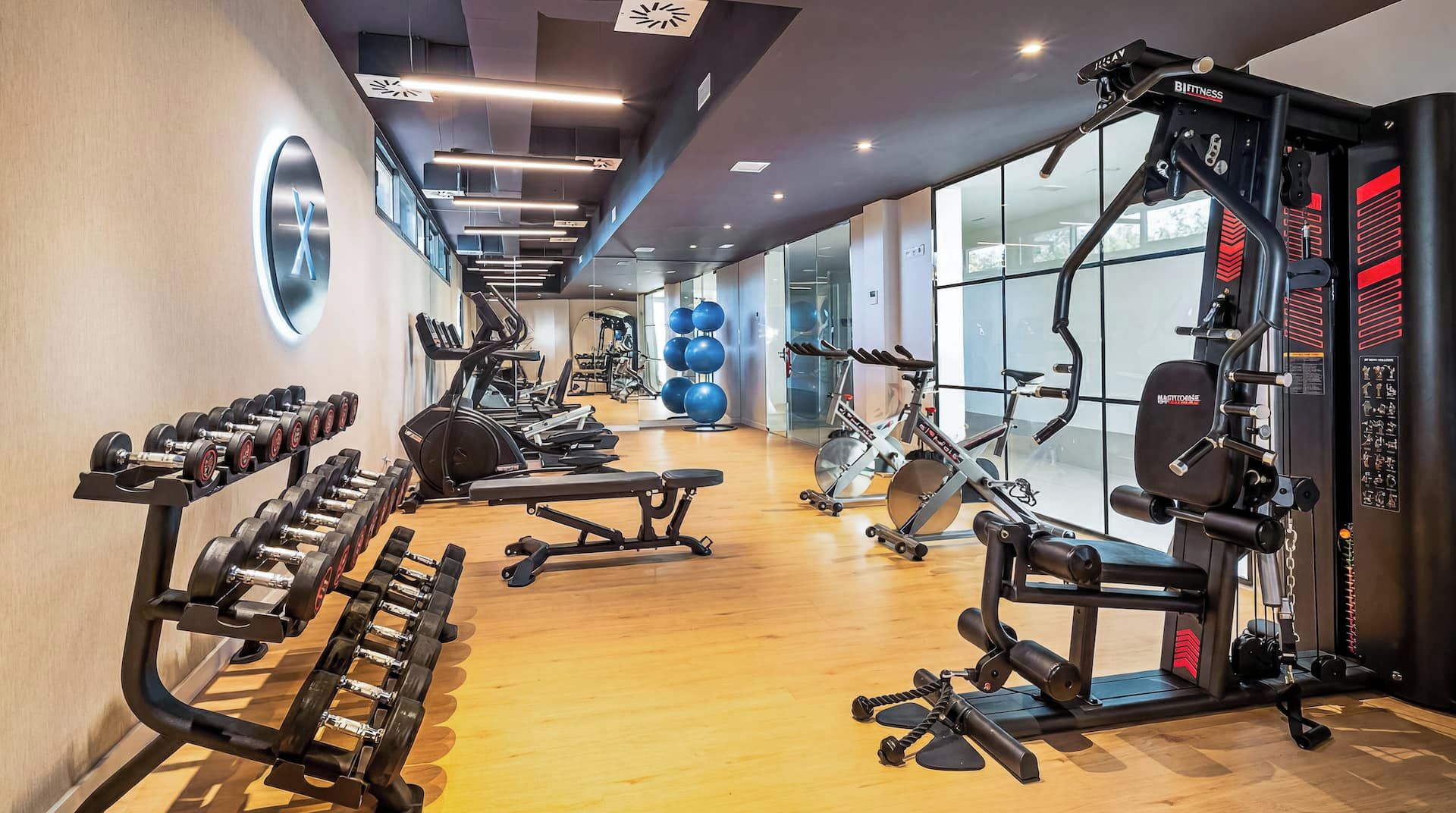 Un gimnasio con diversos equipos de ejercicio, incluyendo pesas, cintas de correr y máquinas de musculación.