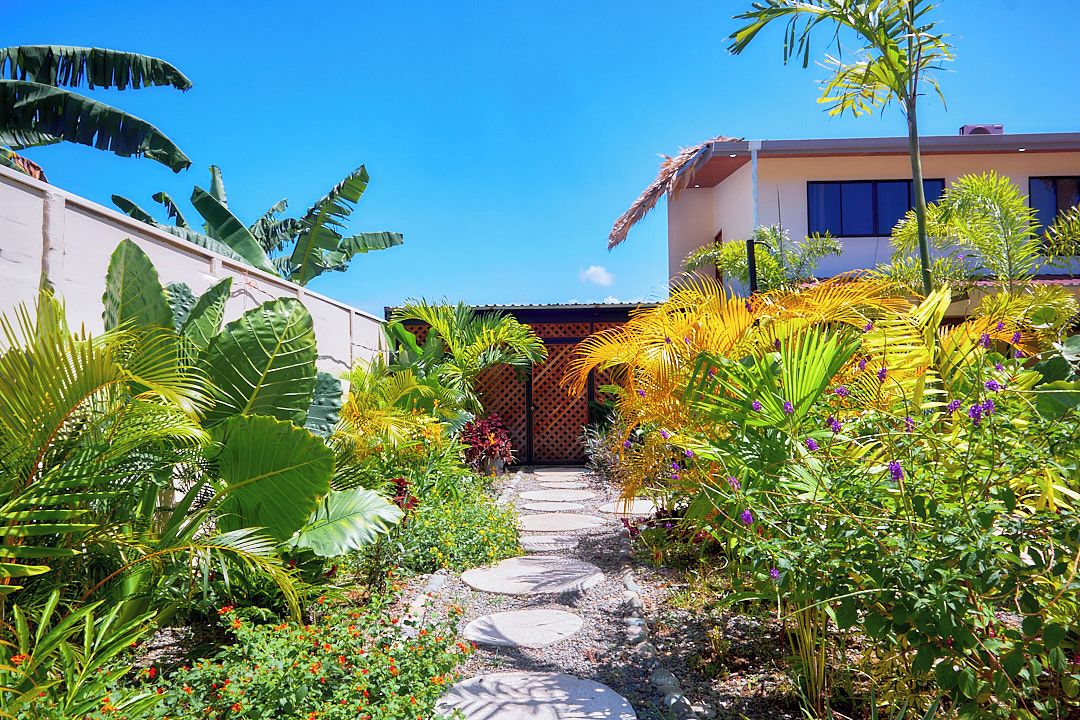 A garden pathway leading to a building with a thatched roof.