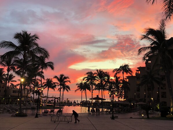 A waterfront promenade with palm trees and a sunset.