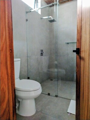 Un baño con cabina de ducha de vidrio, inodoro blanco y marco de puerta de madera.