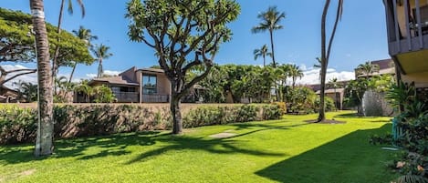 A well-maintained lawn with palm trees and a building in the background.