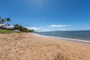 A beach with a clear sky, palm trees, and a calm sea.