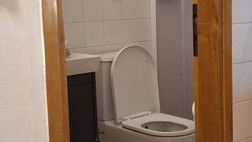 A bathroom with a toilet, a sink, and a shower area.