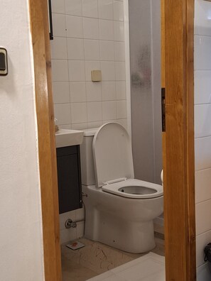 A bathroom with a toilet, a sink, and a shower area.
