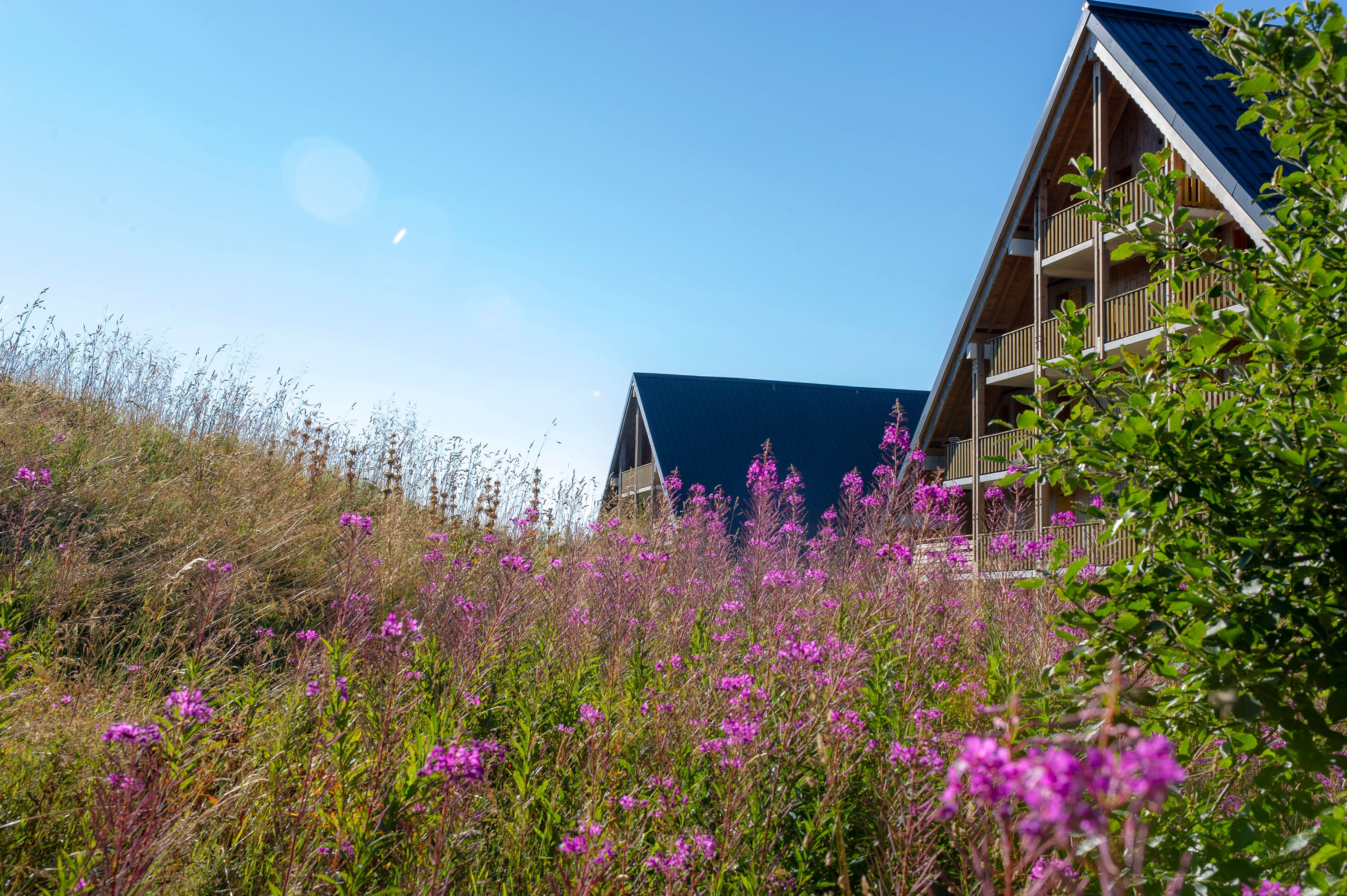 Een gebouw met een schuin dak en een balkon met uitzicht op een veld paarse bloemen.