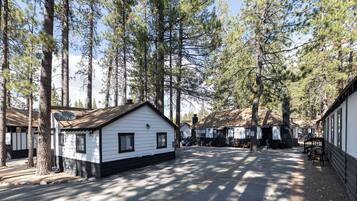 A row of cabins with a dirt path in between, surrounded by tall pine trees.