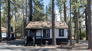 A cabin with a porch, a barbecue grill, and picnic tables in a forested campground.