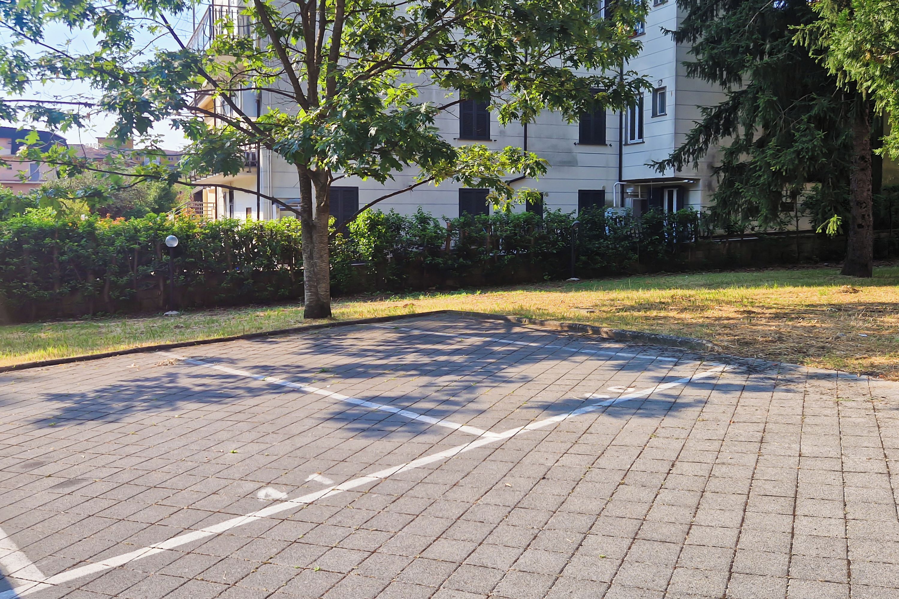 Ein gepflasterter Parkplatz mit einem Baum im Vordergrund und einem Gebäude im Hintergrund.