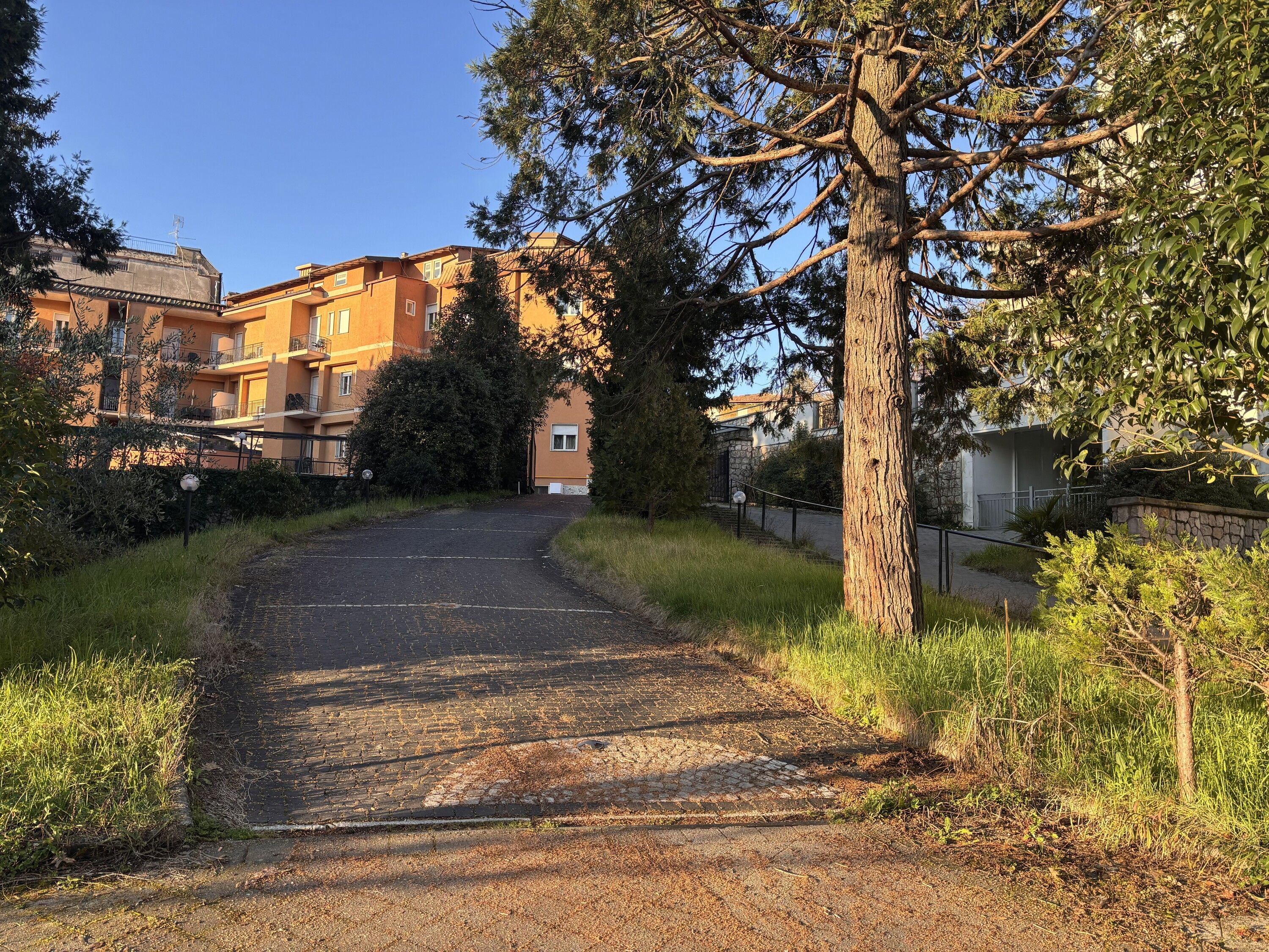 A paved driveway leading to a residential building with a stone facade and multiple windows.