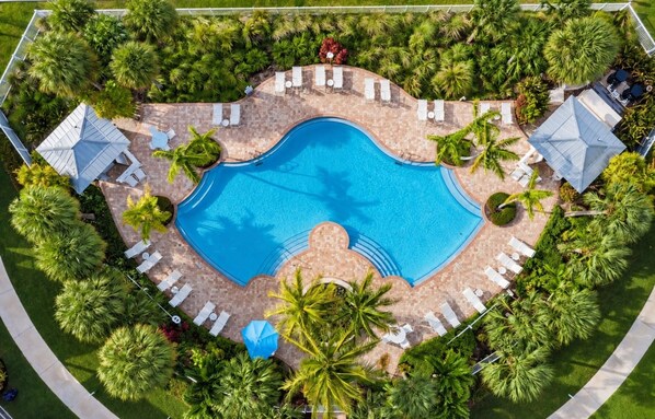 An aerial view of a swimming pool surrounded by lounge chairs and palm trees. - Reef House Islamorada | Beach • Pool • Marina (Islamorada)