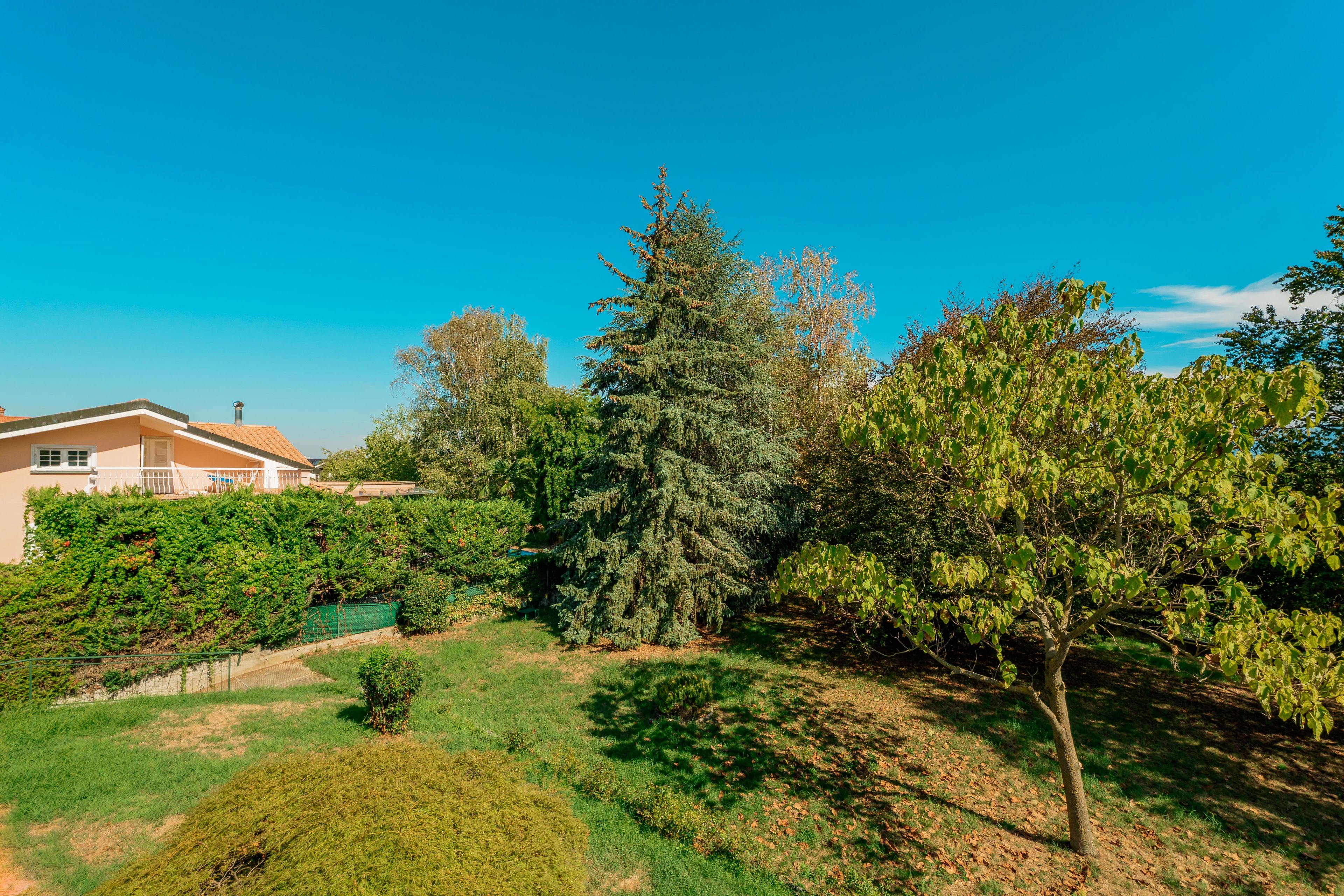 A residential area with a house, a garden, and a clear blue sky.