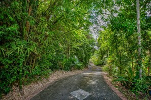 A narrow, paved path surrounded by dense green foliage. - 4BR with pool very close to Neltjeberg Beach (St. Thomas)