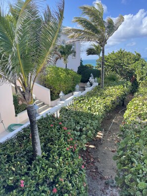 A landscaped garden with palm trees, a pathway, and a building with arched windows. - An Elite Traveller`s Top 10 Caribbean Villa (St. Croix)