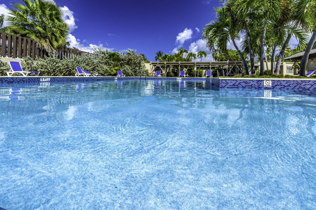 A clear blue pool with lounge chairs and palm trees.