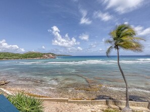 A beach with clear water, a palm tree, and rocky terrain. - Turquoise Dreams- 2br Condo- pool, restaurant and beach! (St. Thomas)