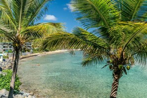 A beach with clear turquoise water, palm trees, and a building with a white facade. - Stunning Beachfront Condo & Pool (St. Thomas)