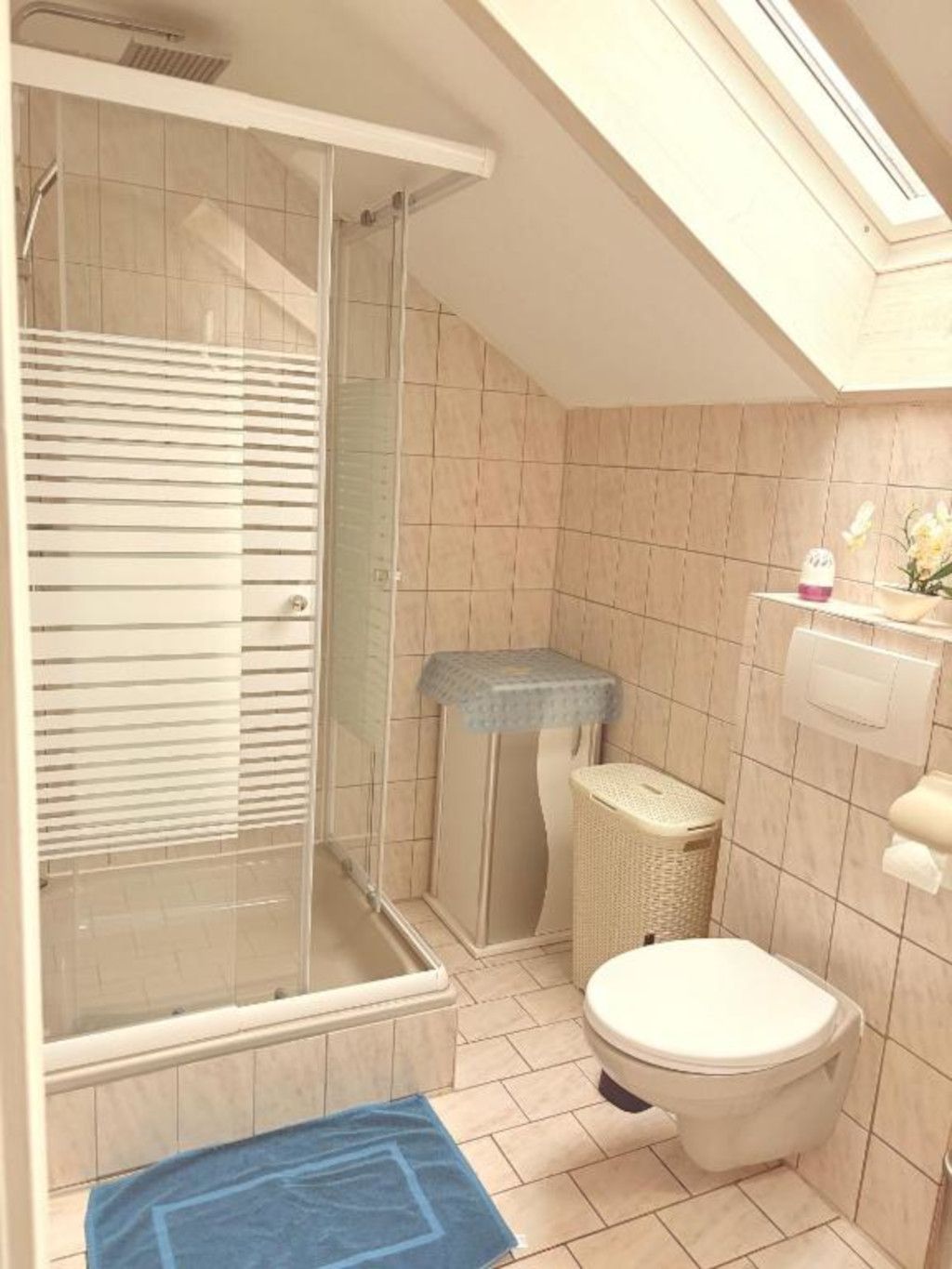 Une salle de bain avec une douche, des toilettes et un petit lavabo.