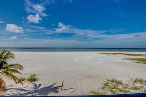 A beach with a clear sky, a palm tree, and a sandy shore. - Island House Beach Club 5D - Beautiful Beachfront Condo (Fort Myers Beach)