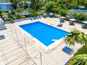 Une piscine entourée de palmiers, avec des chaises longues et des parasols, et offrant une vue sur un court de tennis.