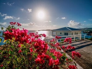 Blick auf die Küste mit einem Gebäude, Bougainvillea-Blumen und blauem Himmel.