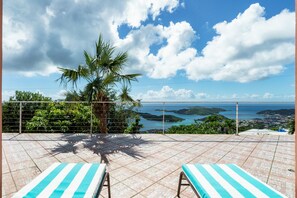 A terrace with two striped lounge chairs, a palm tree, and a view of the sea and islands. - Amazing harbor views & central, gated location!! 5 en-suite baths! (St. Thomas)