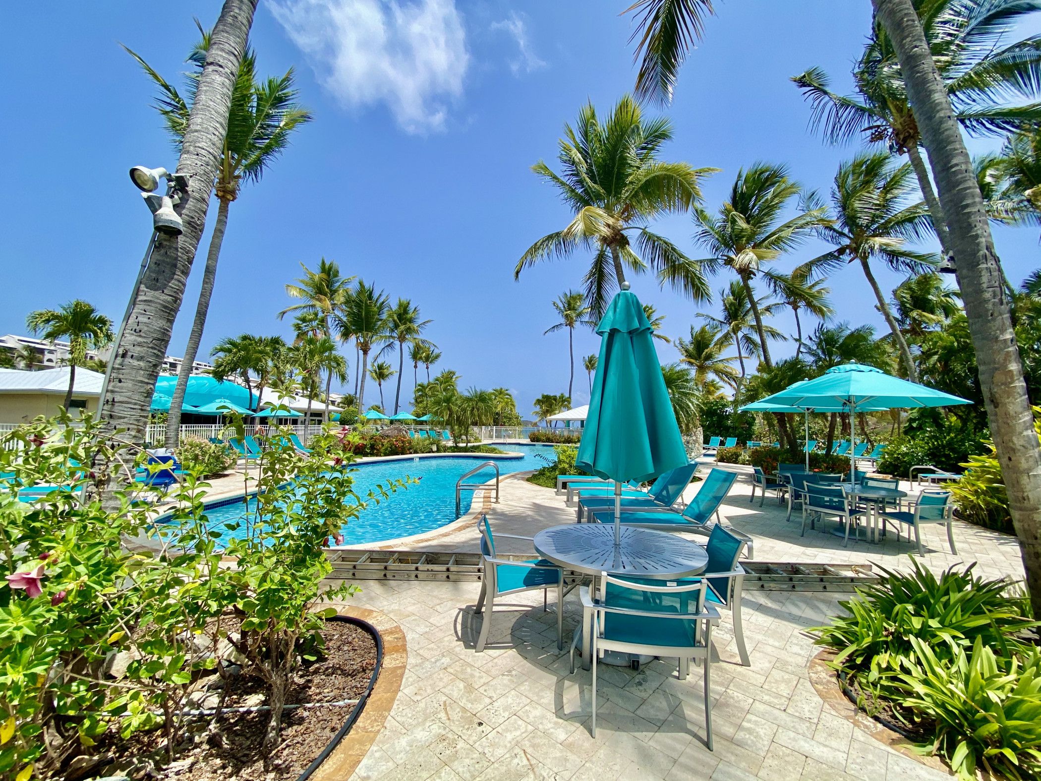 A pool area with lounge chairs and umbrellas, surrounded by palm trees.