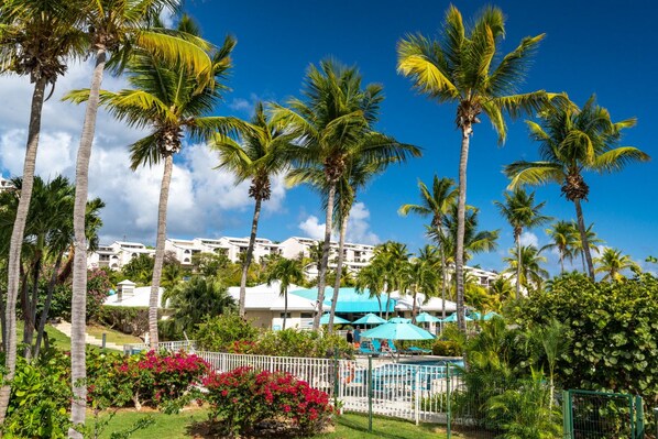 A resort with multiple-story buildings, palm trees, a swimming pool, and a fenced area with pink flowers. - 2br on Cowpet Beach w/Huge pool & 2 restaurants! (St. Thomas)