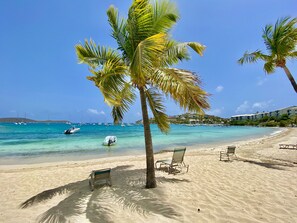 A beach with clear turquoise water, a few boats, and a palm tree. - 2br on Cowpet Beach w/Huge pool & 2 restaurants! (St. Thomas)