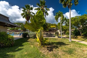 A well-maintained garden with palm trees and a pool area. - WOW!! Gorgeous & well-appointed 4BR- Walk to the beach & to Coral World!! (Anna`s Retreat)