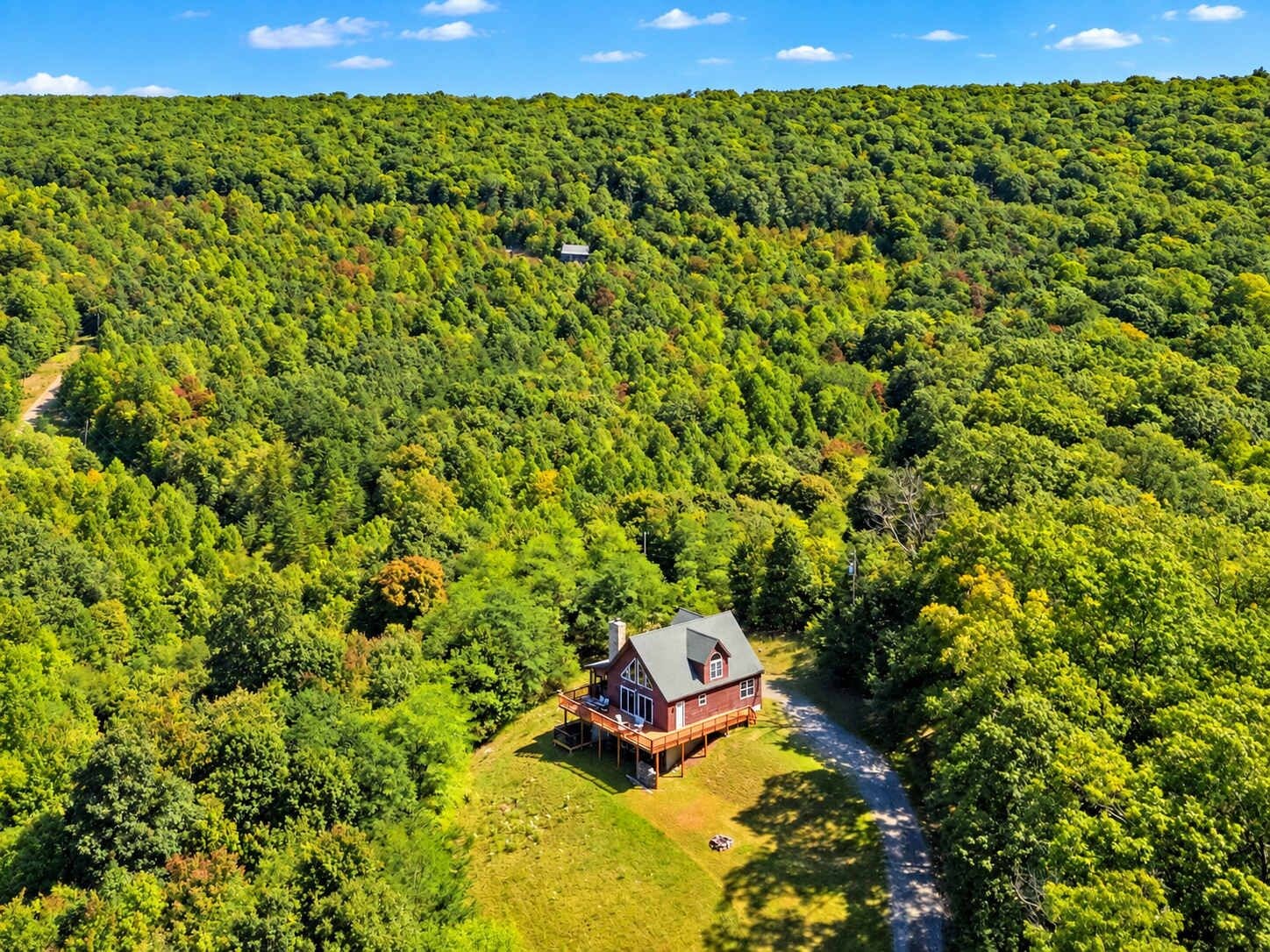Ein Haus, umgeben von dichtem Wald, mit blauem Himmel.
